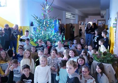 ROZSVICOVÁNÍ (video)